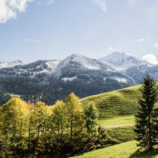 Herbst_Rohrweg___Kleinwalsertal_Tourismus__c__Kleinwalsertal_Tourismus_-_Kleinwalsertal_Tourismus_eGen.jpg