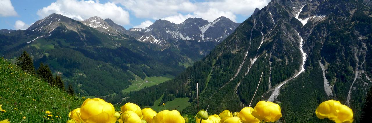 Das Kleinwalsertal